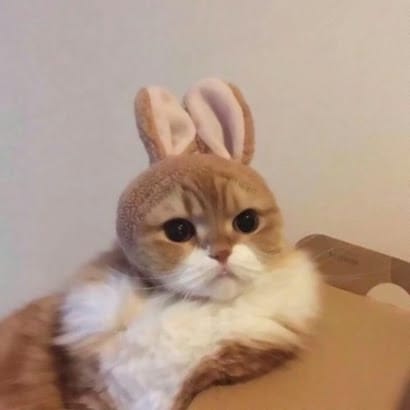 Susan Roces avatar